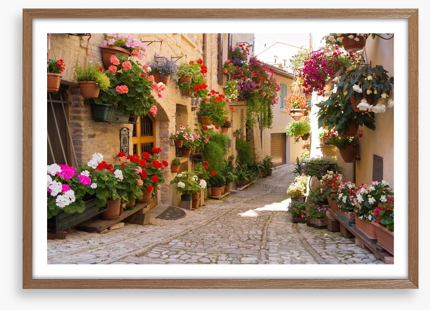 Italian alley with flowers