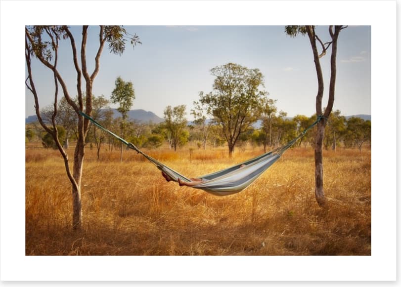 Hammock in the bush