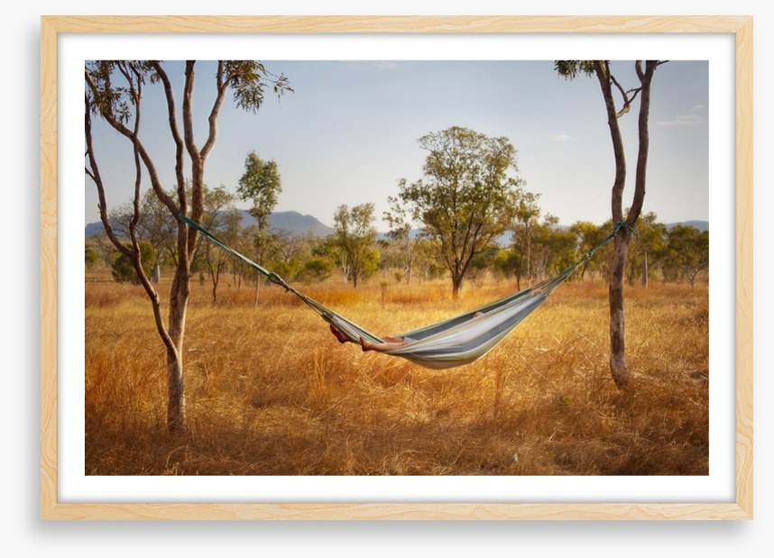 Hammock in the bush
