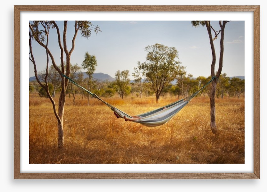 Hammock in the bush
