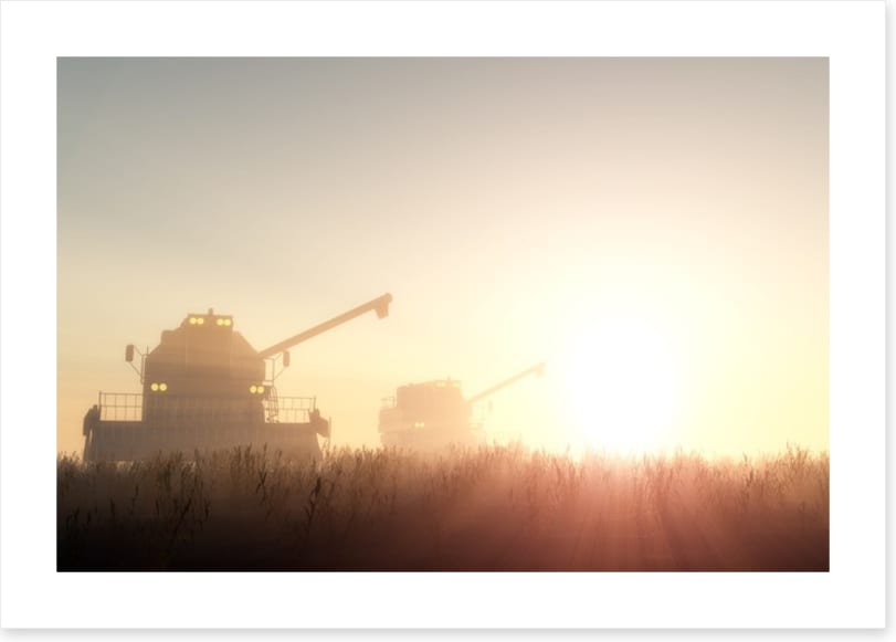 Agriculture