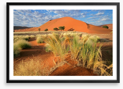 Sossusvlei grasslands