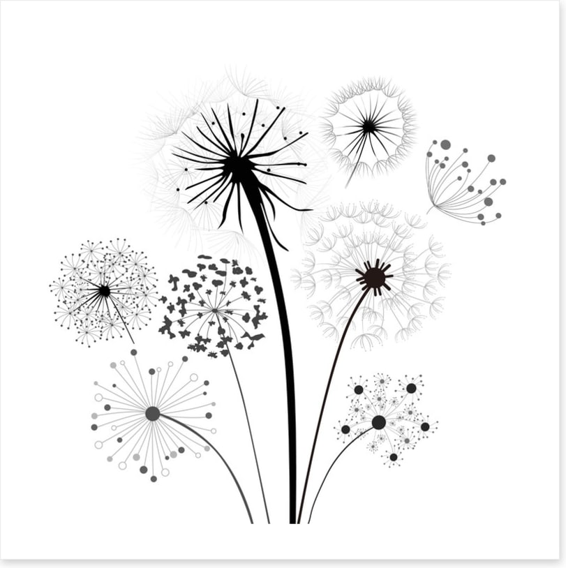 Dandelion whisper