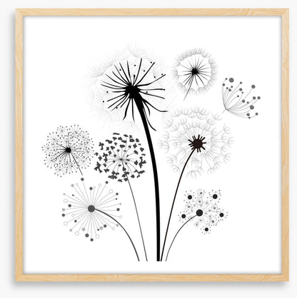 Dandelion whisper