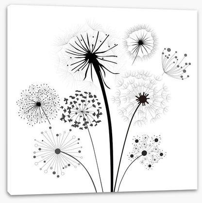 Dandelion whisper