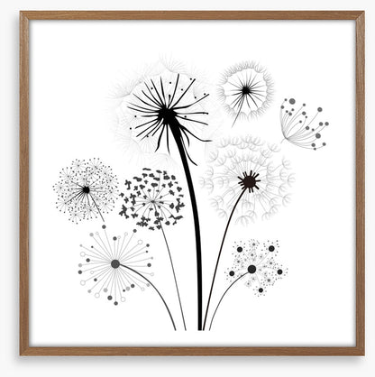 Dandelion whisper