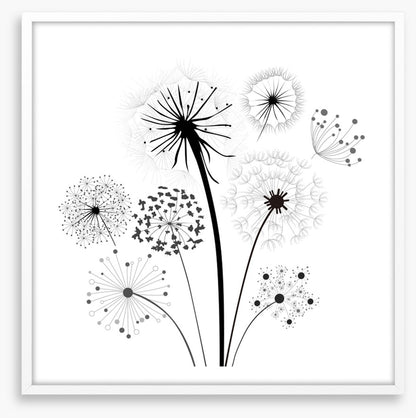 Dandelion whisper