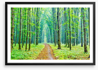 Vibrant spring in the forest