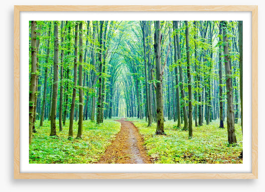 Vibrant spring in the forest
