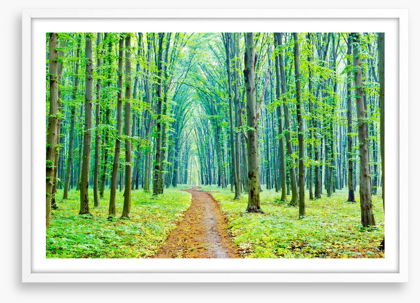 Vibrant spring in the forest