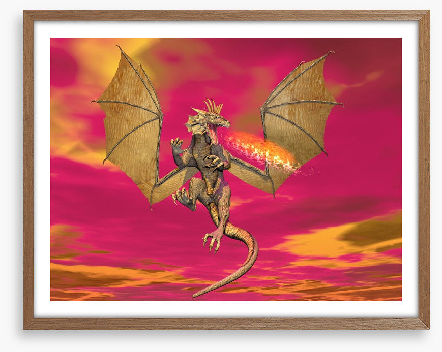 Dragons