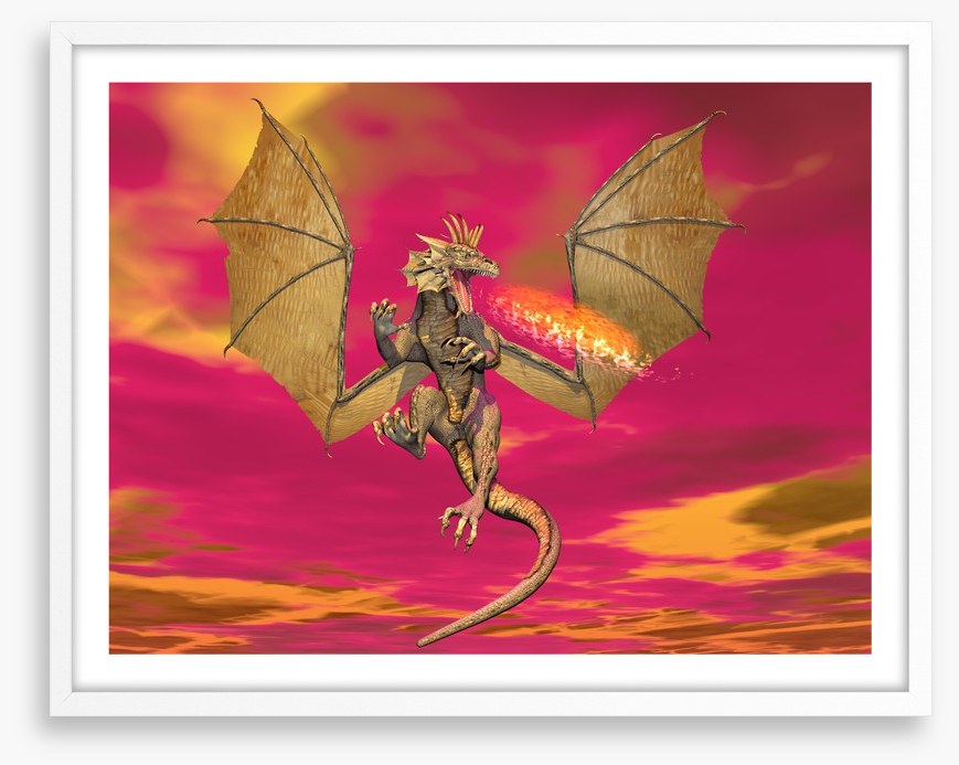 Dragons