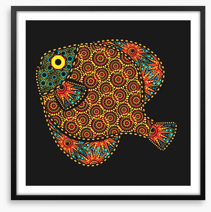 African fish