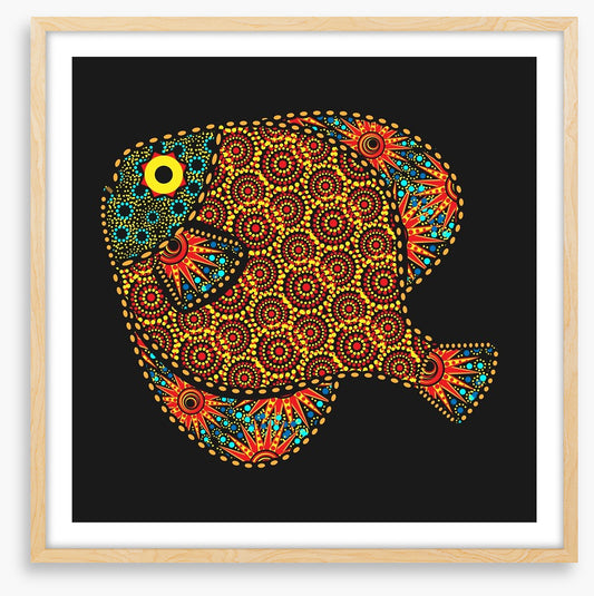 African fish