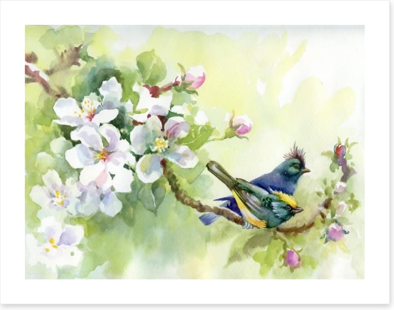 Birds of spring
