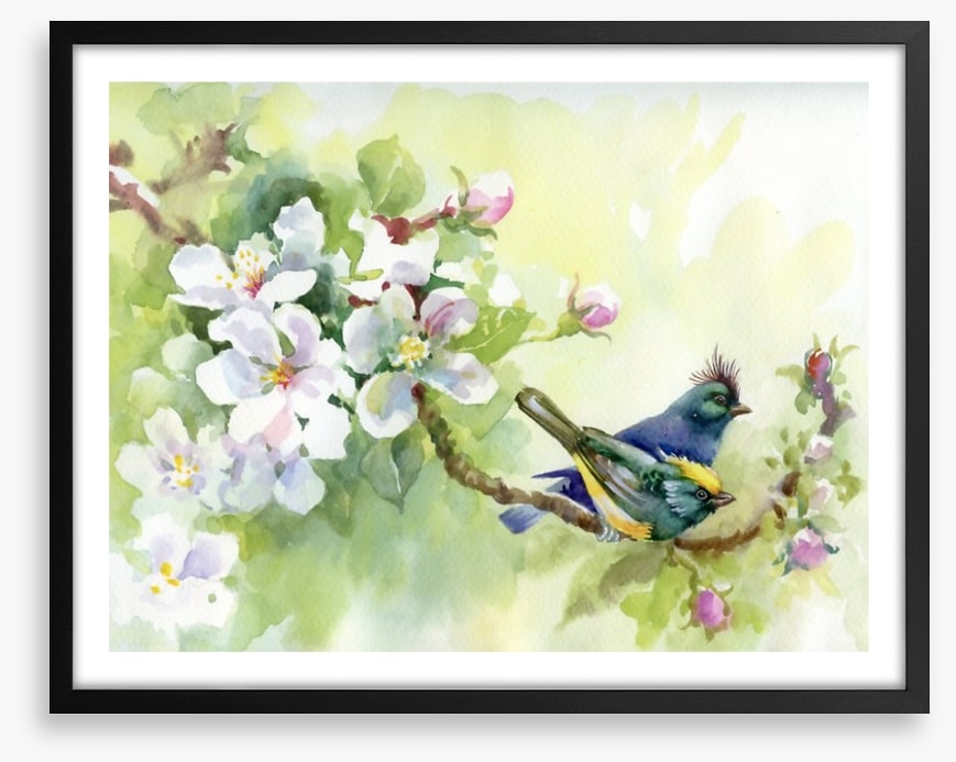 Birds of spring