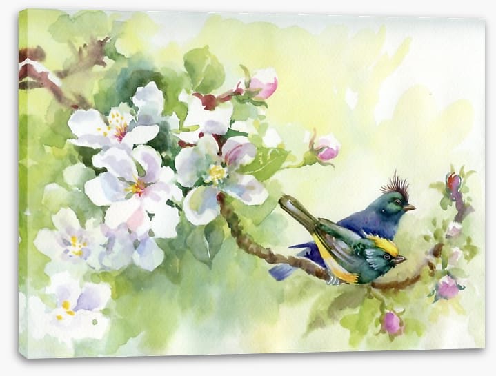 Birds of spring