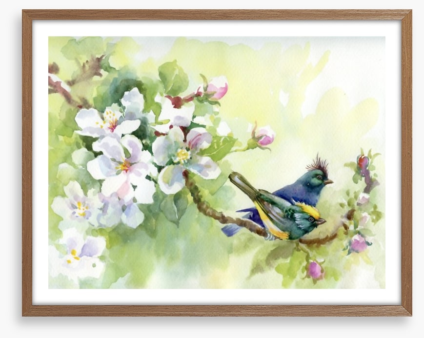 Birds of spring