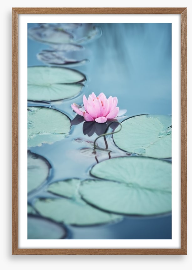 Lonesome lily