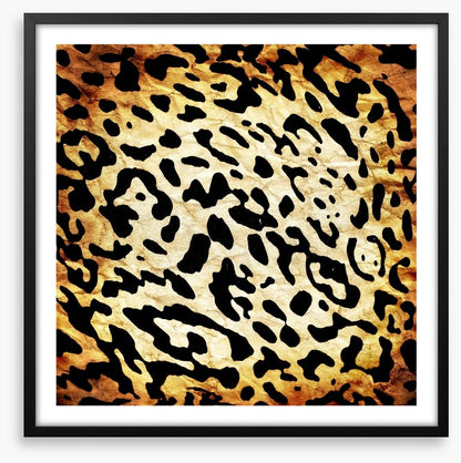 Animal Print