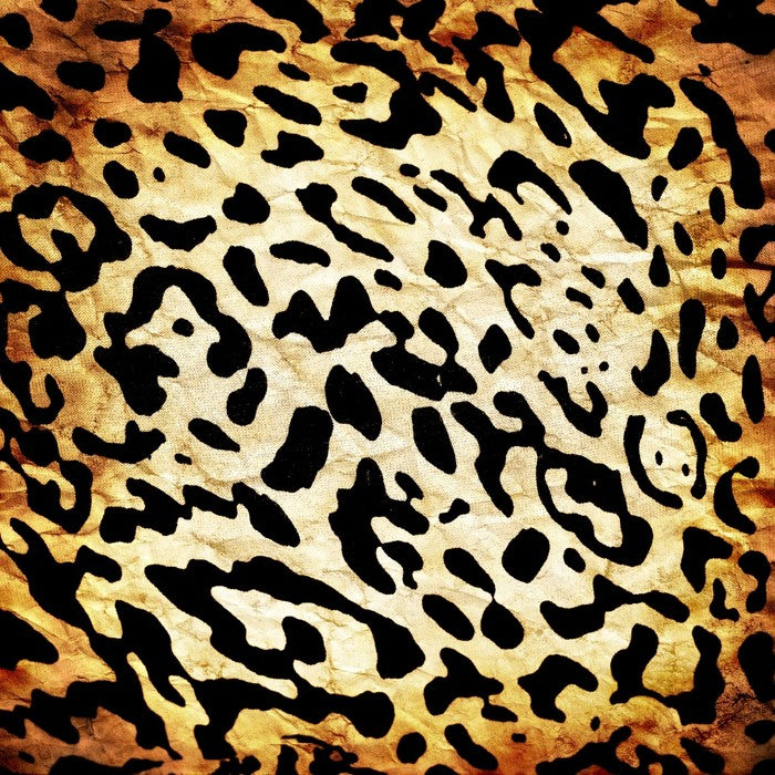 Animal Print