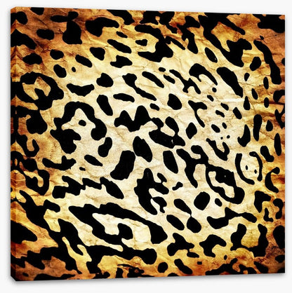 Animal Print