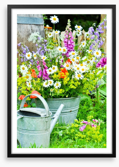 Wildflower blooms