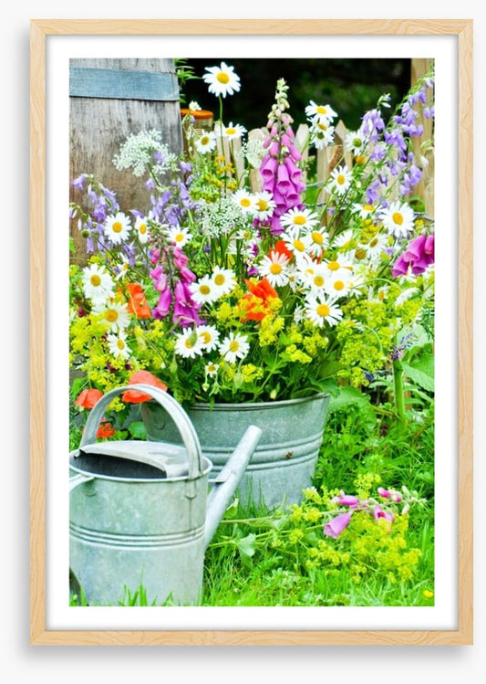 Wildflower blooms