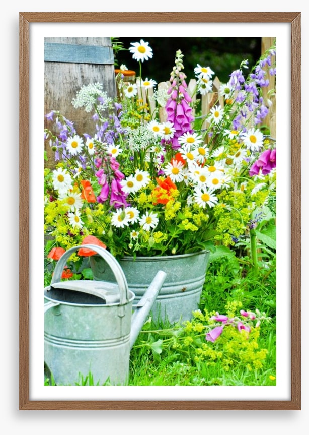 Wildflower blooms