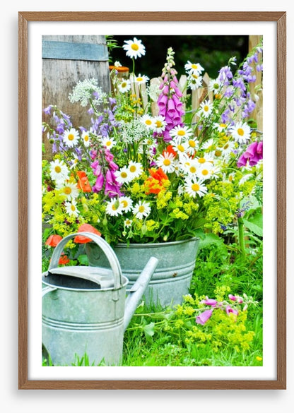 Wildflower blooms