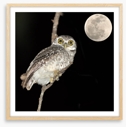 Night vision