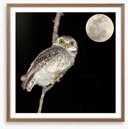 Night vision