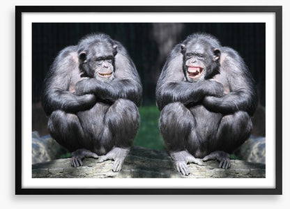 Monkeying around