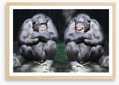 Monkeying around