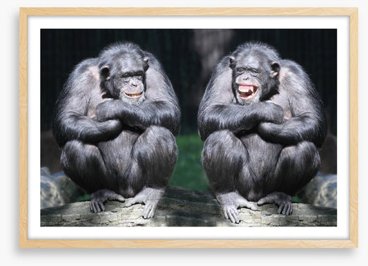 Monkeying around