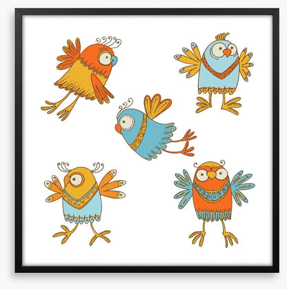 Owls