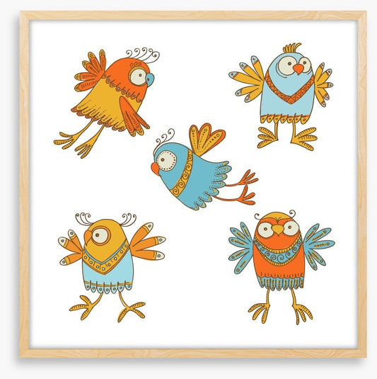 Owls