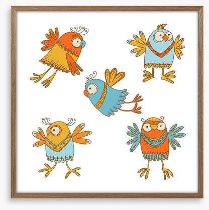 Owls