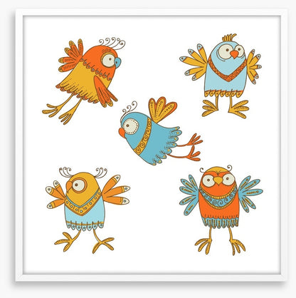Owls