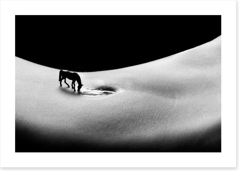 A horse to water