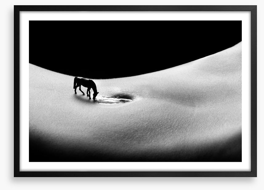 A horse to water