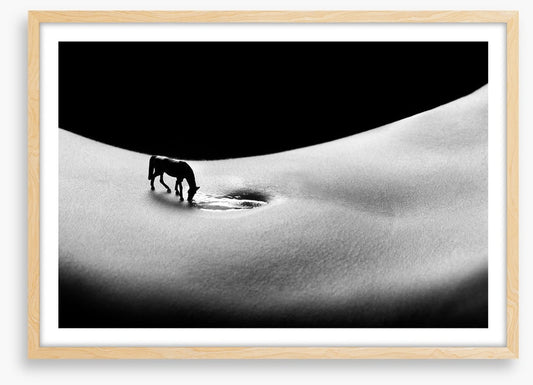 A horse to water