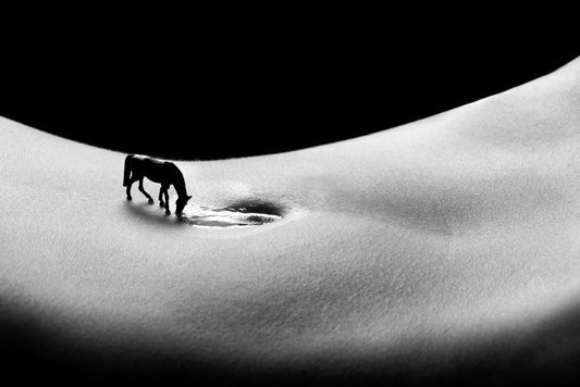 A horse to water