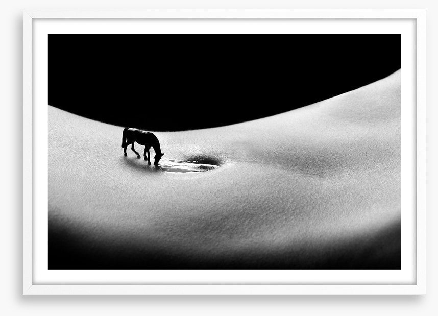 A horse to water