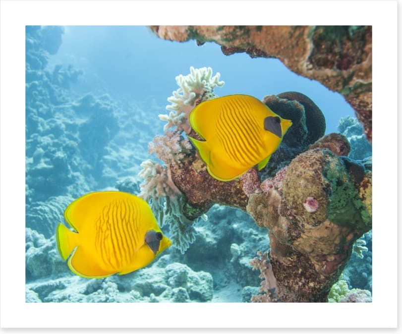 Underwater