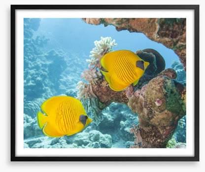 Underwater