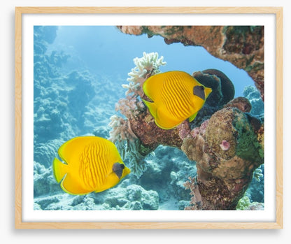 Underwater