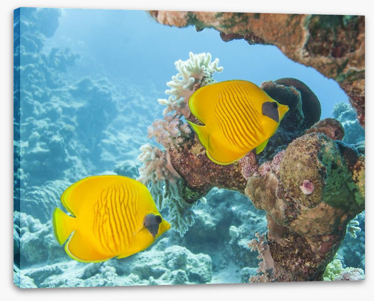 Underwater