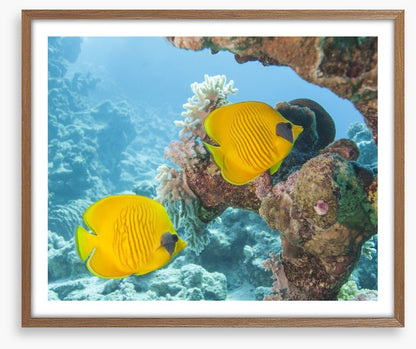 Underwater