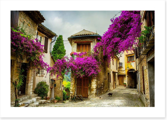 Summer in Provence